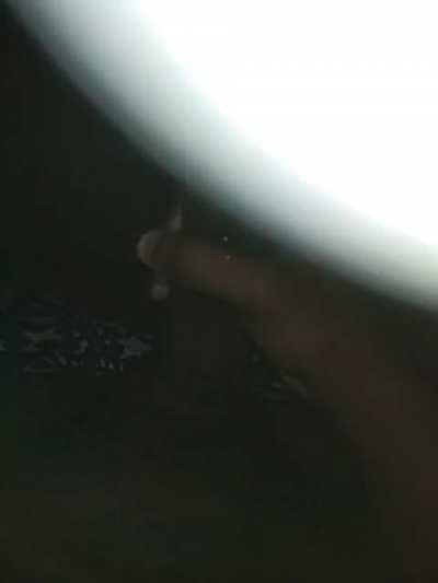 Upvote If You want this Up Your Ass😏💦