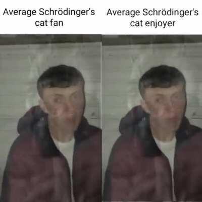 😹😹😹🐯🐯🐯🐱🐱🐆🐈🐈🐅😸🙀🙀🙀🙀🙀🙀🙀🐾😽