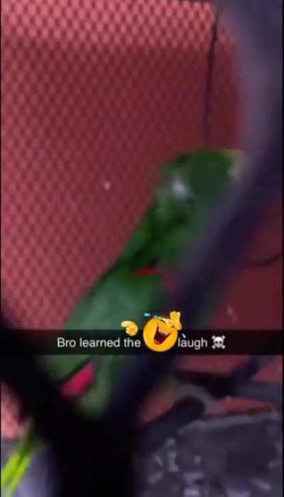 atumalaca!😂 *fart sounds coming from moldova*