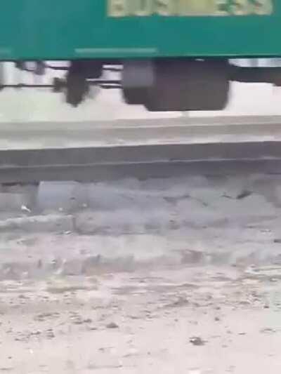 Donkey is too fed up with his life