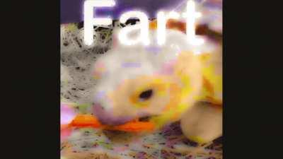 turtle fart meme.mp4