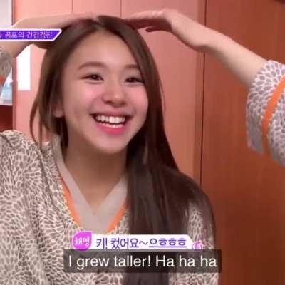 Chaeyoung 160cm, fighting!