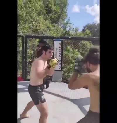 din thomas being herb dean