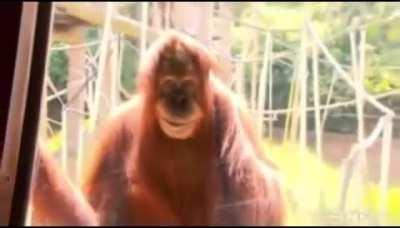 Blursed - This one is different