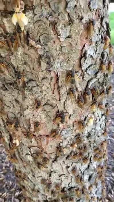 OK this is excessive