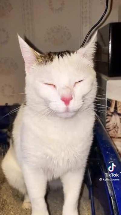 Purses lips when pooping.