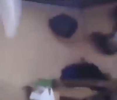 chris and zach when tomar speaks