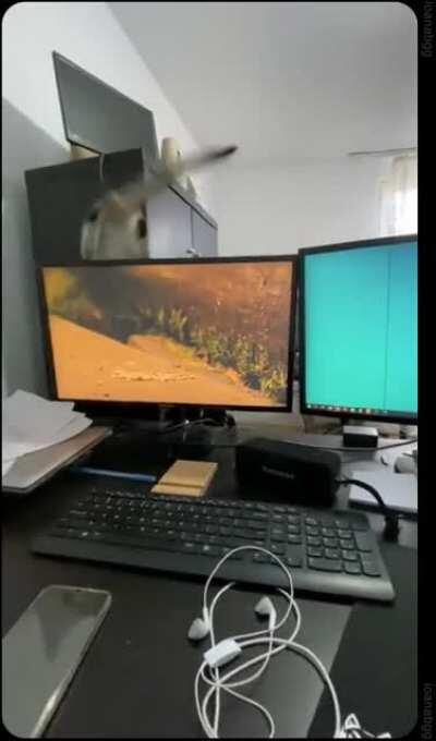 when you realize you live in the matrix