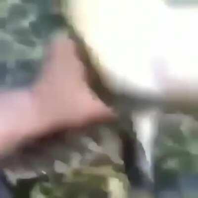 I’m 15 and this is yeet