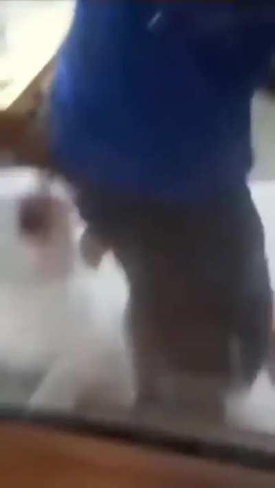 A Hunter hunted scenario again