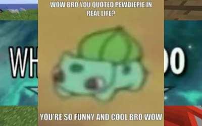 MINECRAFT STEVE DESTROYS INSTAGRAM NORMY (WHOLESOME 100) (DANK) (SUB TO PEWDIEPIE) (KEANU CHUNGUS MUSK 100) (AREA 51 KYLE IS MY MOMS BOYFRIEND)