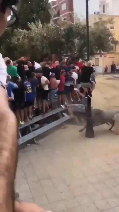 Not so fast! ..Kudos Bull #45