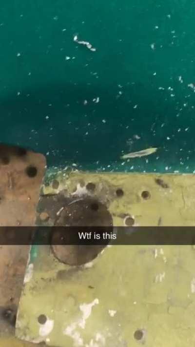 You ever just take off a doubler and just..... yea