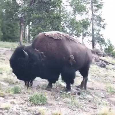 Sorry, kid you're on your own.