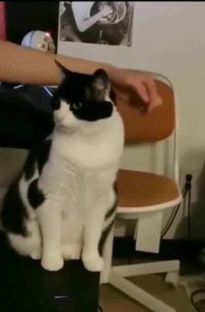 So you mean ghosts can exist!?