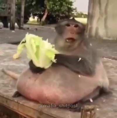 Não tenho oq falar, só aceito