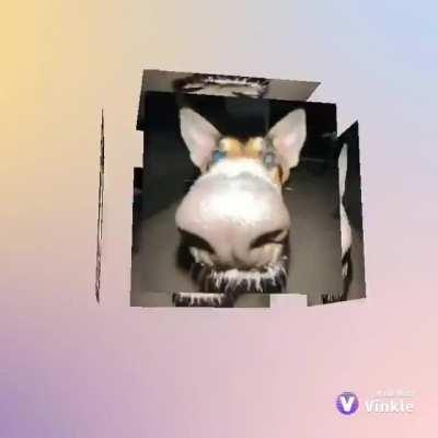 aweonasogang - Video #2861