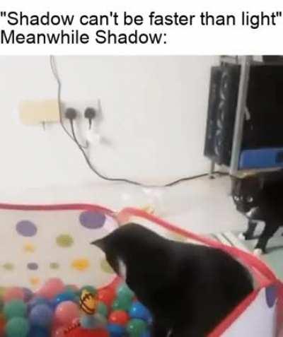 Shadow, the speedy cat, he outruns light