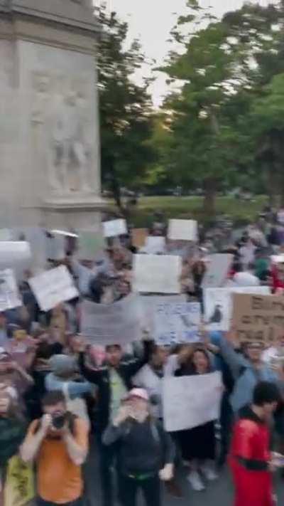 Thousands of people attend a ‘Birds Aren’t Real’ Protest in NYC