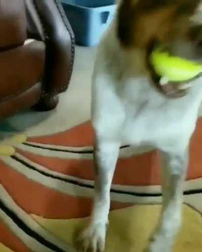 Bet you'd play ball with him too