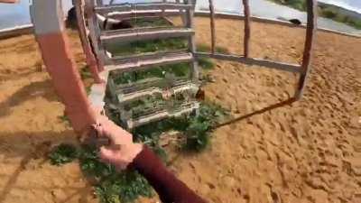 What would you do in this situation?