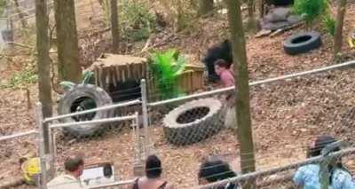 Probably the most 'far out' Eric Andre prank