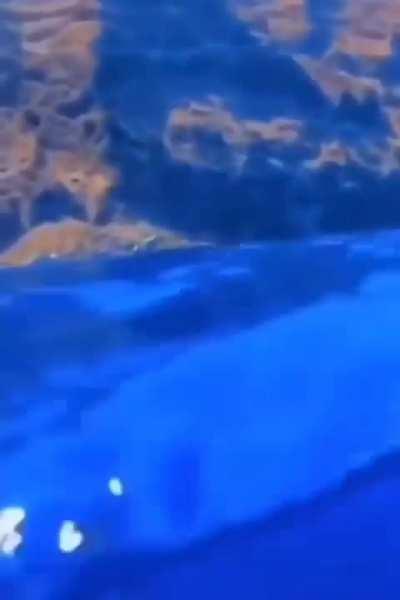 Very scary video (warning: jumpscare)