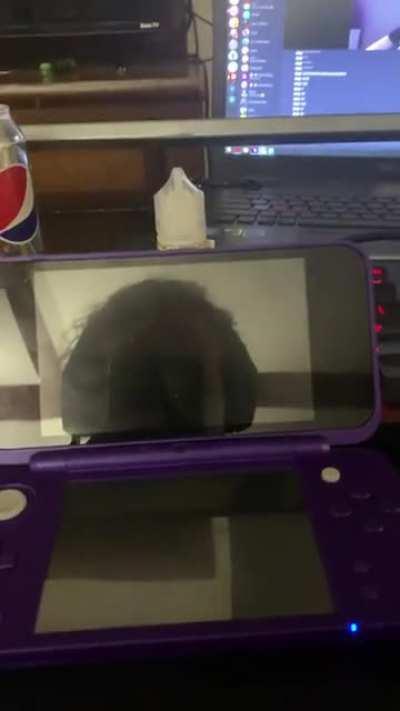 Nintendrain 3DS theme