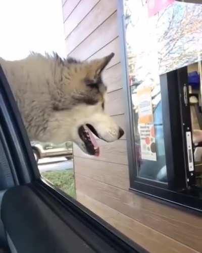 Sir, this is a Wendy’s.