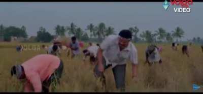 Me: at family gatherings.