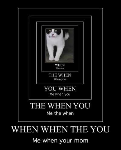 I made a meme of my cat