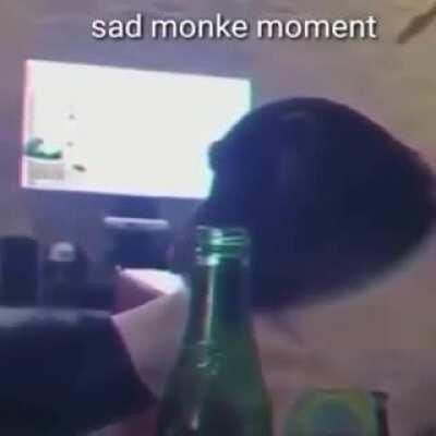 monke sad