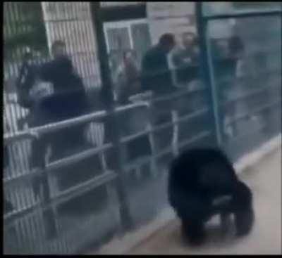 bro is an actual menace