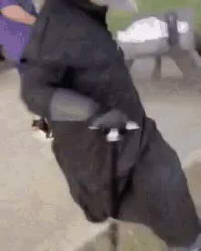 Petition for plague doctors in world box.