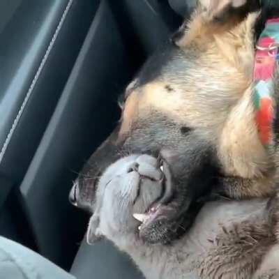 Cuddling with my friend