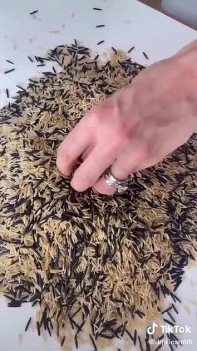 This video really helped me feel better 🥰