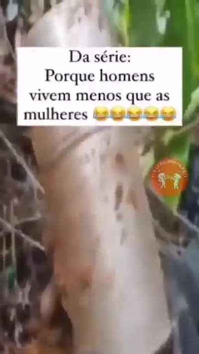 Pq os homens vivem menos?