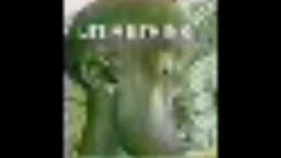 this scene was so sad, bravo Vince