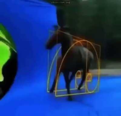 Fall off your horse!