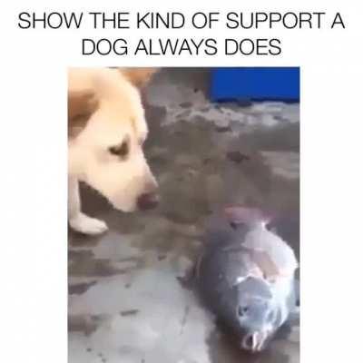 Far better than Humans...:)