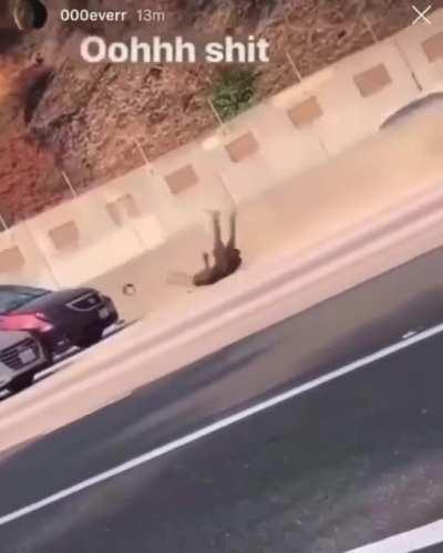 WCGW if I take a stroll on the freeway. NSFW