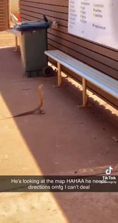 Watch out, he might try to sell you car insurance