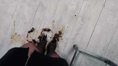 arya_crawfish_crush8cam1-2