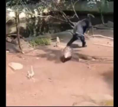 He knew he shouldnt touch that, but did it anyway