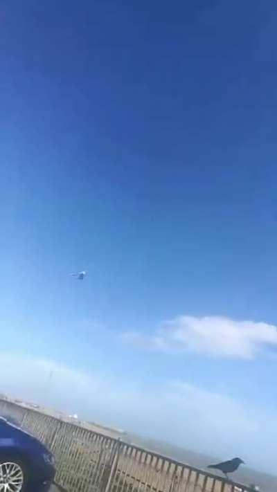 Look at this champ, big-dicking it on his own