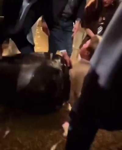 Ain’t no way he climbed in it wtf