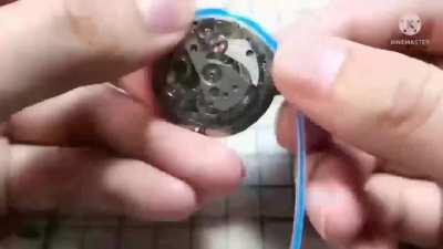 Least intelligent crab lover in China