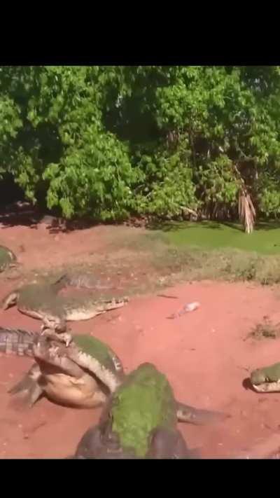 Homie swallowed that shit too💀