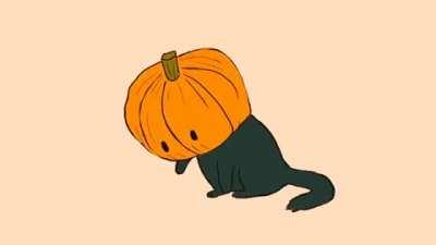 Have a cat-o-lantern for the season.
