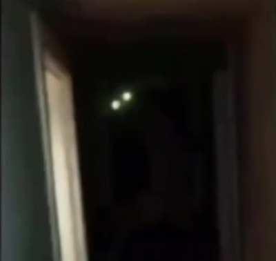 Michael is a tall boy